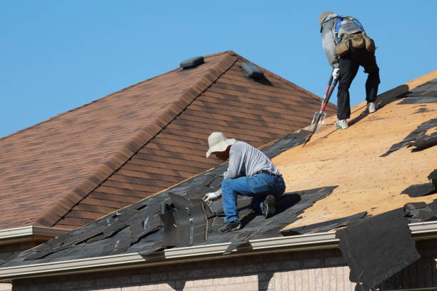 Best Roof Installation  in New Holstein, WI