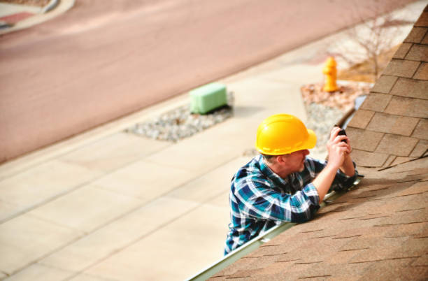 Best Roof Insulation Installation  in New Holstein, WI