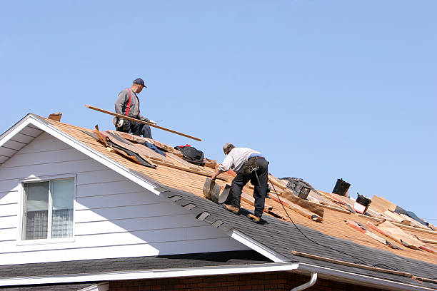Best Roof Coating and Sealing  in New Holstein, WI