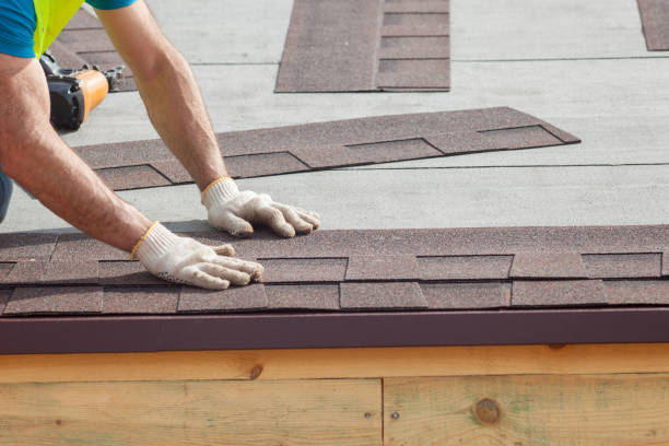 Best Roof Ventilation Installation  in New Holstein, WI